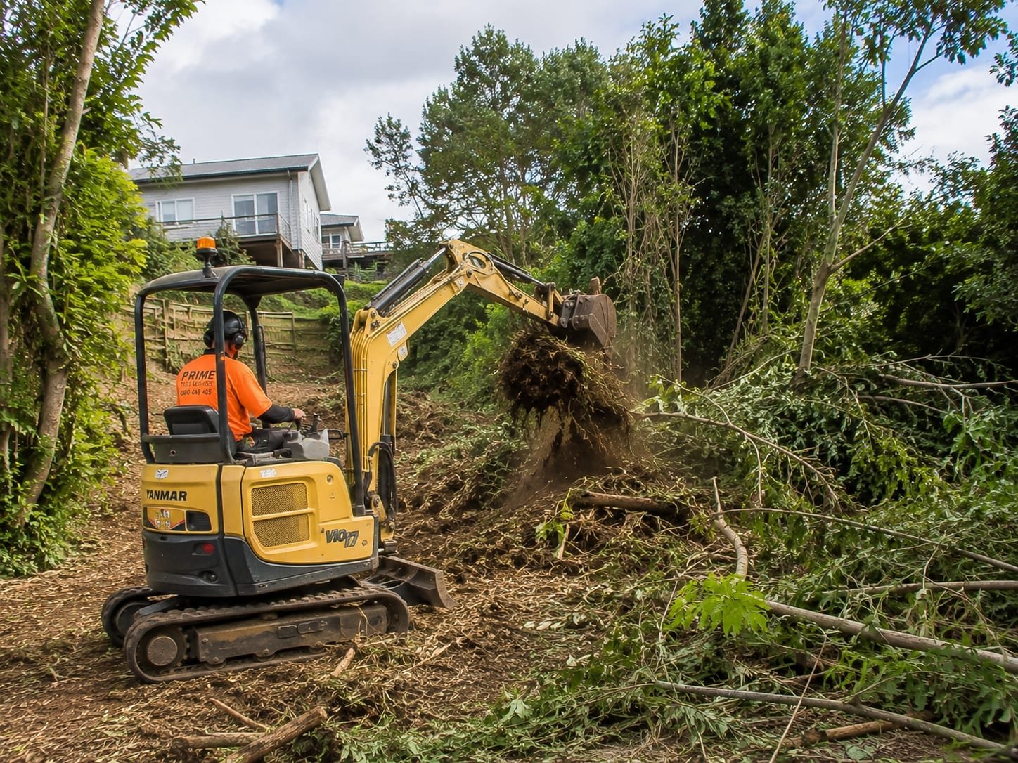 Mini excavator clearing overgrown scrub and vegetation from a sloping section in Tauranga