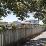 Neighbour’s Tree Hanging Over Your Fence? Your Rights in New Zealand